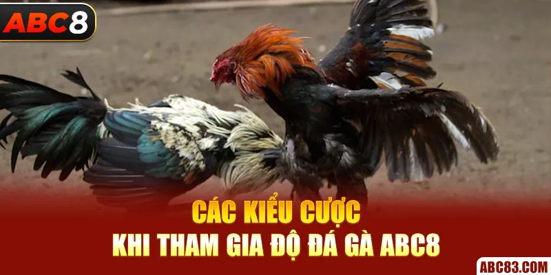 Các kiểu cược khi tham gia độ đá gà ABC8