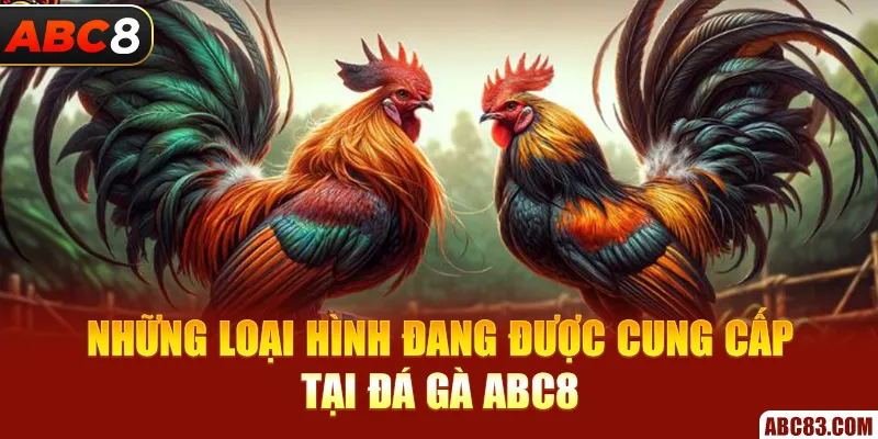 Những loại hình đang được cung cấp tại đá gà ABC8