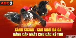 Sảnh SV388 - Sân Chơi Đá Gà Đẳng Cấp Nhất Cho Các Kê Thủ