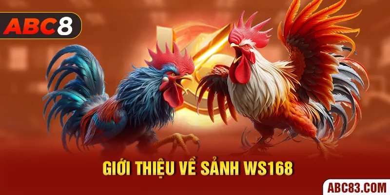 Giới thiệu về sảnh Ws168