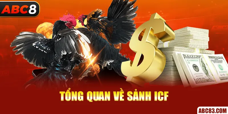 Tổng quan về sảnh ICF