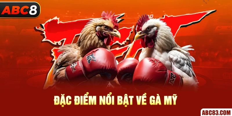 Đặc điểm nổi bật về gà mỹ 