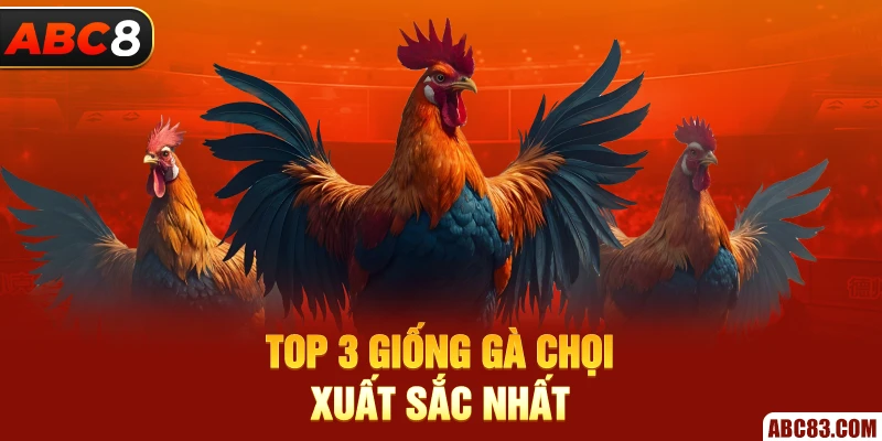 Top 3 giống gà chọi xuất sắc nhất