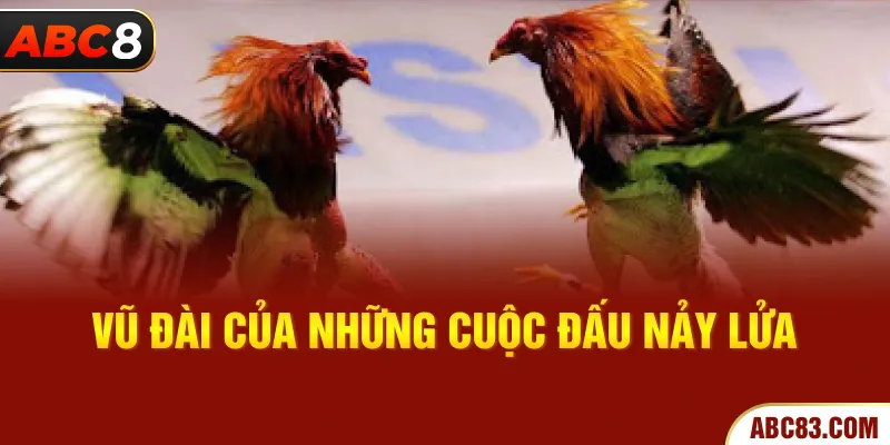 Vũ đài của những cuộc đấu nảy lửa